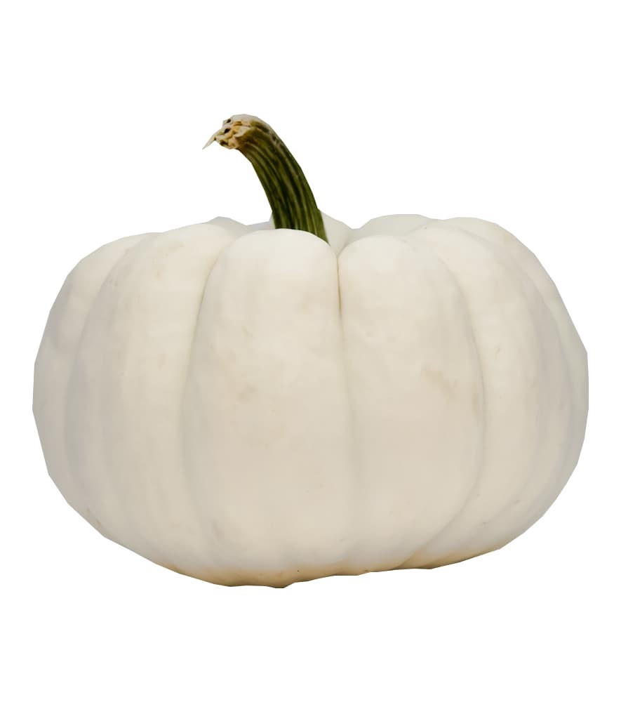 slide 1 of 1, White Pumpkins, 1 ct