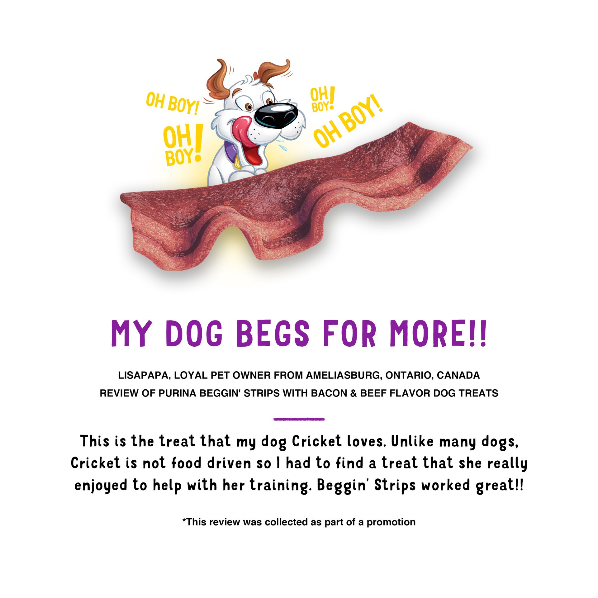 slide 5 of 8, Beggin' Purina Beggin' Strips With Real Meat Dog Treats With Bacon and Beef Flavors, 25 oz