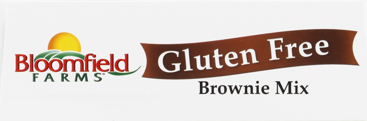 slide 3 of 4, Bloomfield Farms Brownie Mix 16 oz, 16 oz