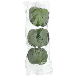 NO BRAND LISTED Packaged Green Bell Peppers