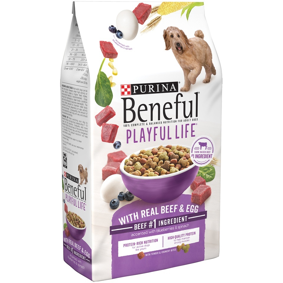 slide 1 of 1, Purina Beneful Playful Life With Real Beef & Egg Dog Food, 3.5 lb