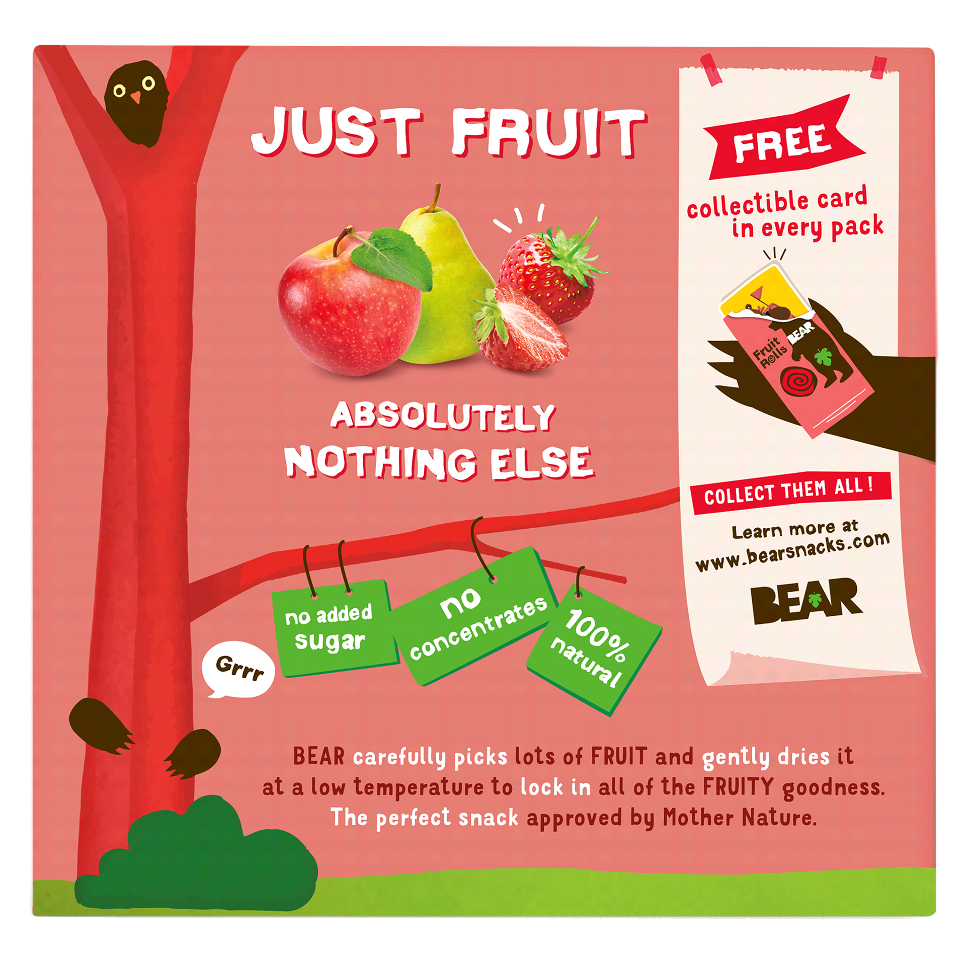 slide 11 of 13, BEAR Apple-Pear Strawberry Fruit Rolls 5 ea, 5 ct