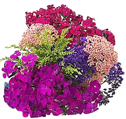 Mixed Fillers Bouquet