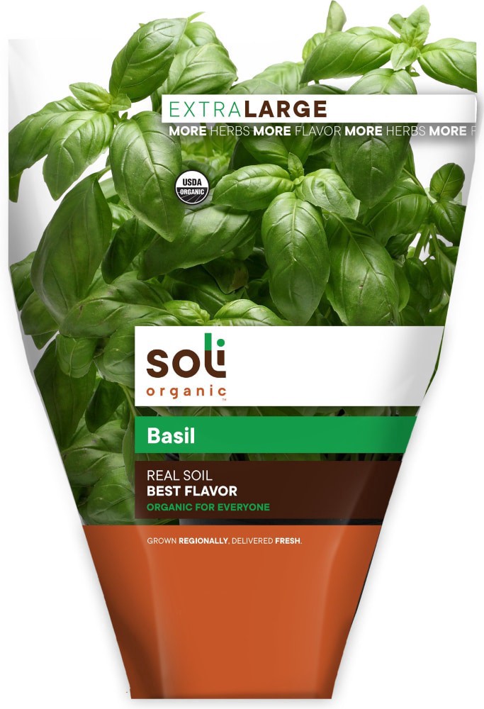 slide 1 of 1, Soli Organic Potted Large Basil 11 Cm, 11 cm