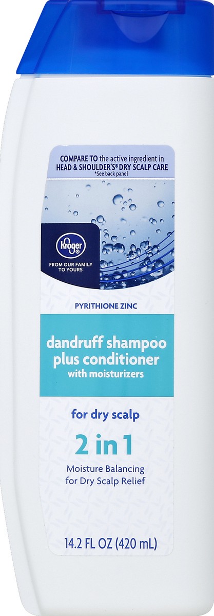 slide 1 of 3, Kroger Dry Scalp Dandruff Shampoo, 14.2 fl oz