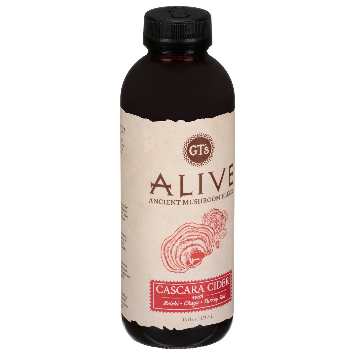 slide 6 of 9, GT's Alive Cascara Cider - 16 fl oz, 16 fl oz