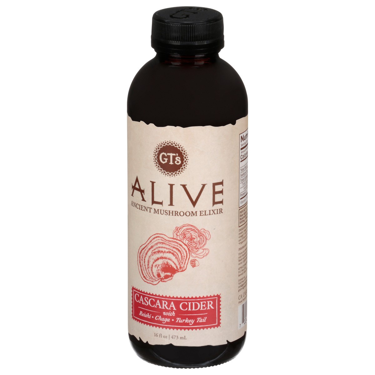 slide 7 of 9, GT's Alive Cascara Cider - 16 fl oz, 16 fl oz