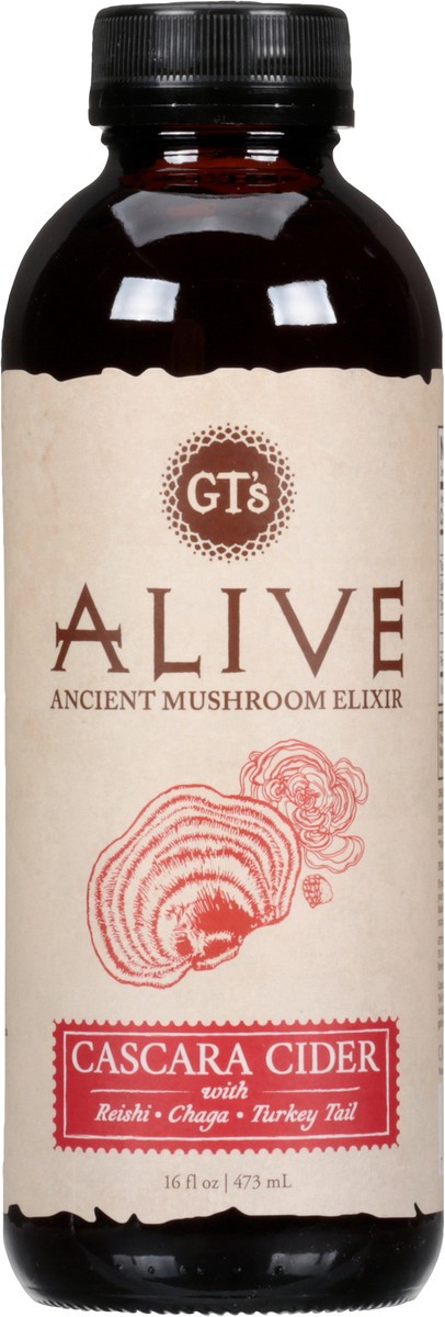 slide 8 of 9, GT's Alive Cascara Cider - 16 fl oz, 16 fl oz