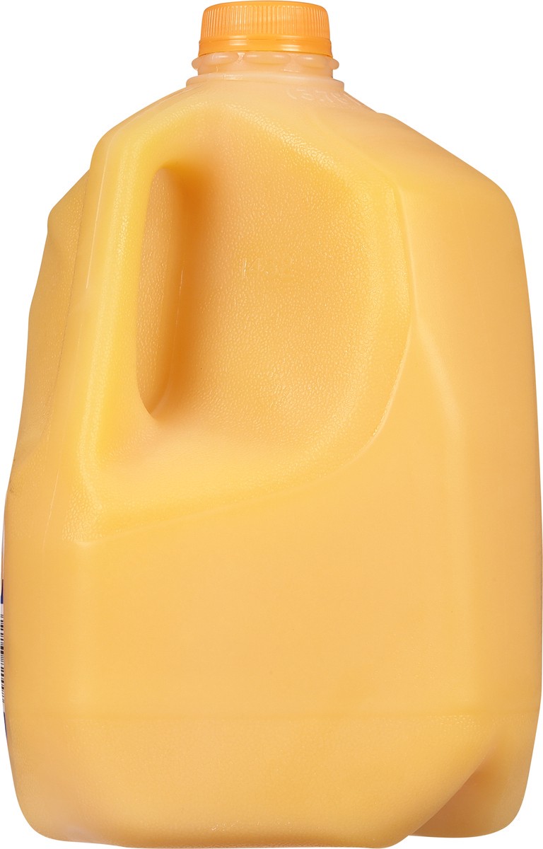 slide 13 of 13, Dairy Fresh 100% Orange Juice from Concentrate 1 gal, 1 gal