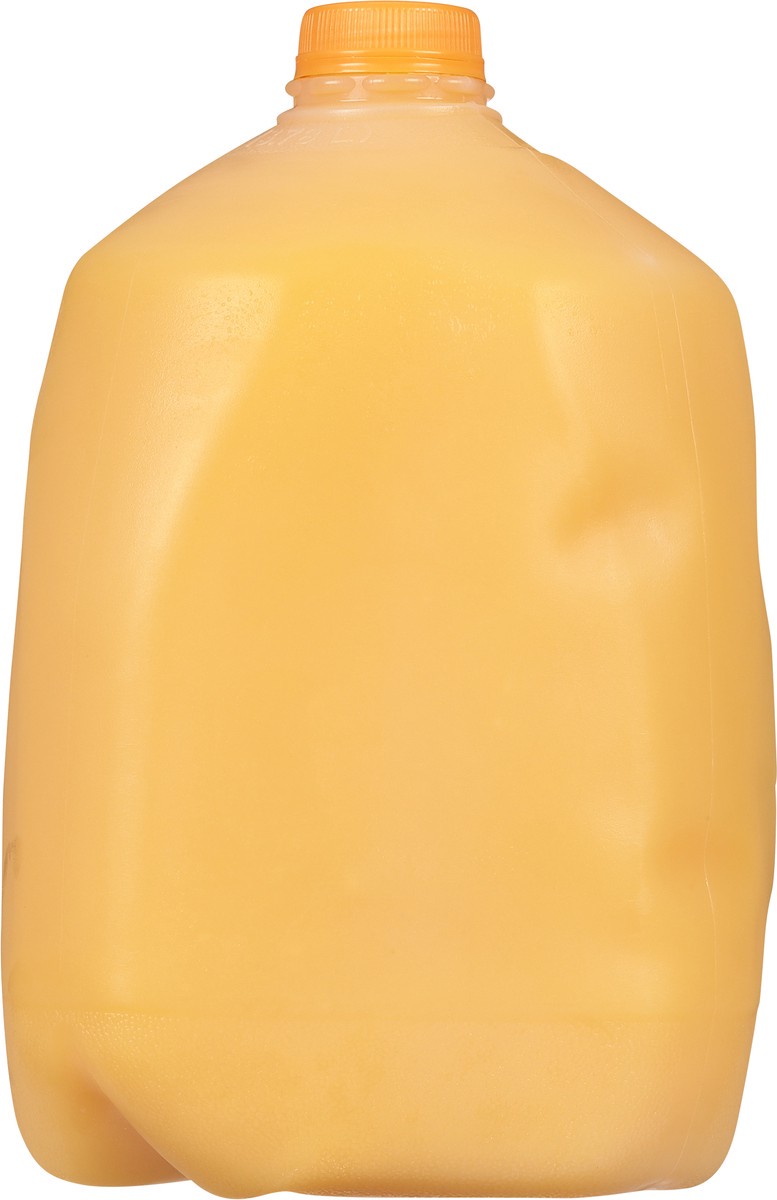 slide 4 of 13, Dairy Fresh 100% Orange Juice from Concentrate 1 gal, 1 gal