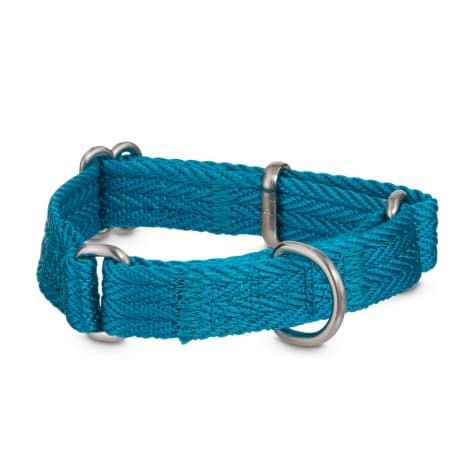 Good2go clearance dog collars