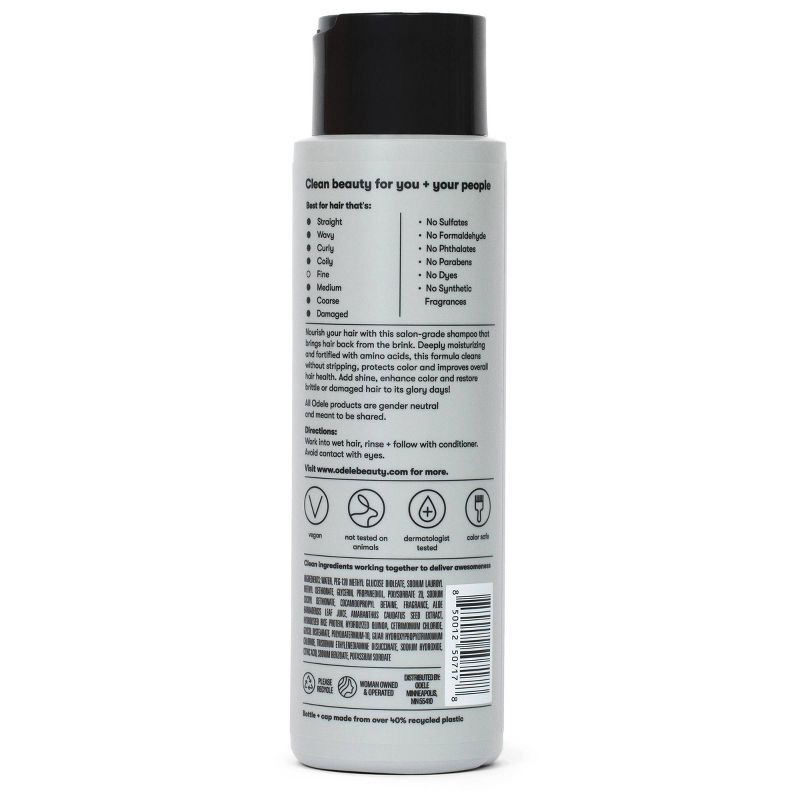 slide 2 of 3, Odele Moisture Repair Shampoo for Dry + Damaged Hair - 13 fl oz, 13 fl oz
