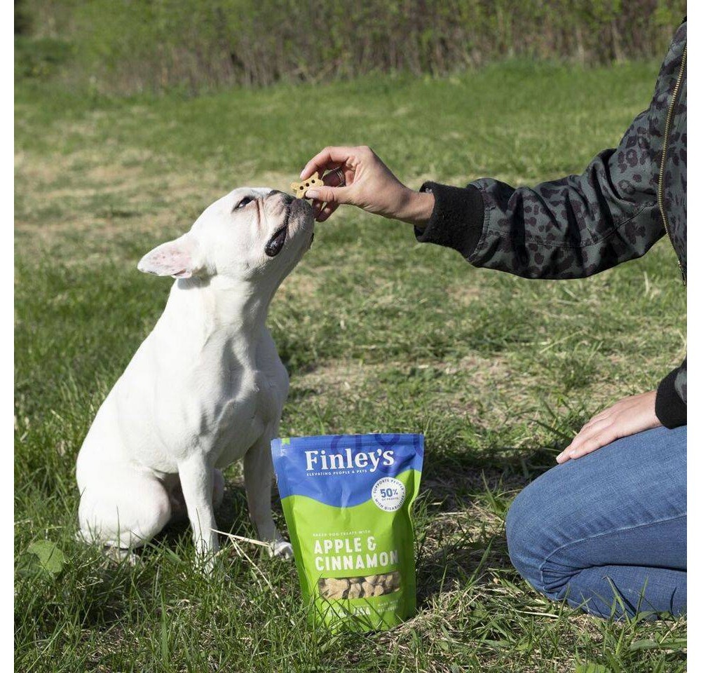 slide 2 of 7, Finley's All Natural Apple and Cinnamon Biscuit Dog Treats - 12oz, 12 oz