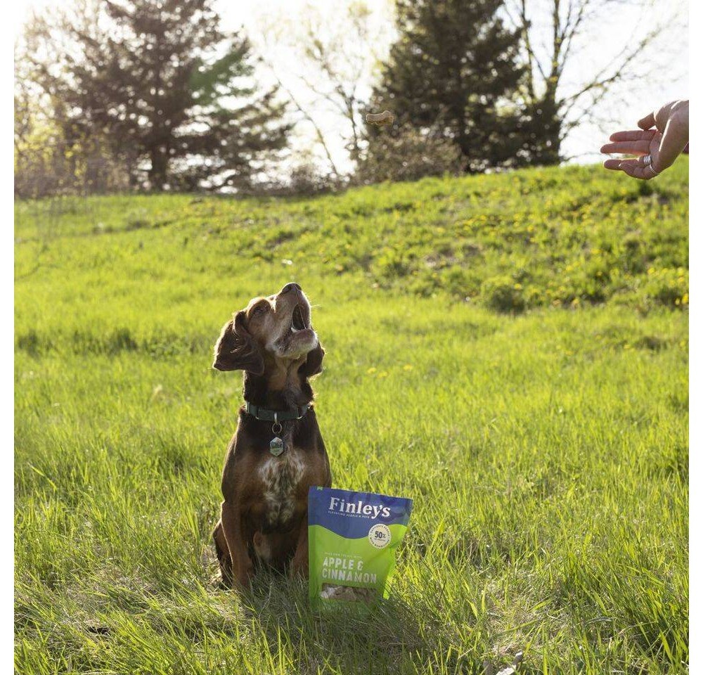 slide 3 of 7, Finley's All Natural Apple and Cinnamon Biscuit Dog Treats - 12oz, 12 oz