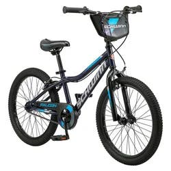 Schwinn Falcon 20" Kids' Bike - Blue