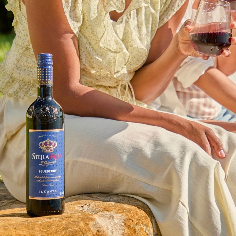 slide 14 of 15, Stella Rosa Blueberry Fruit Wine - 750ml Bottle, 750 ml