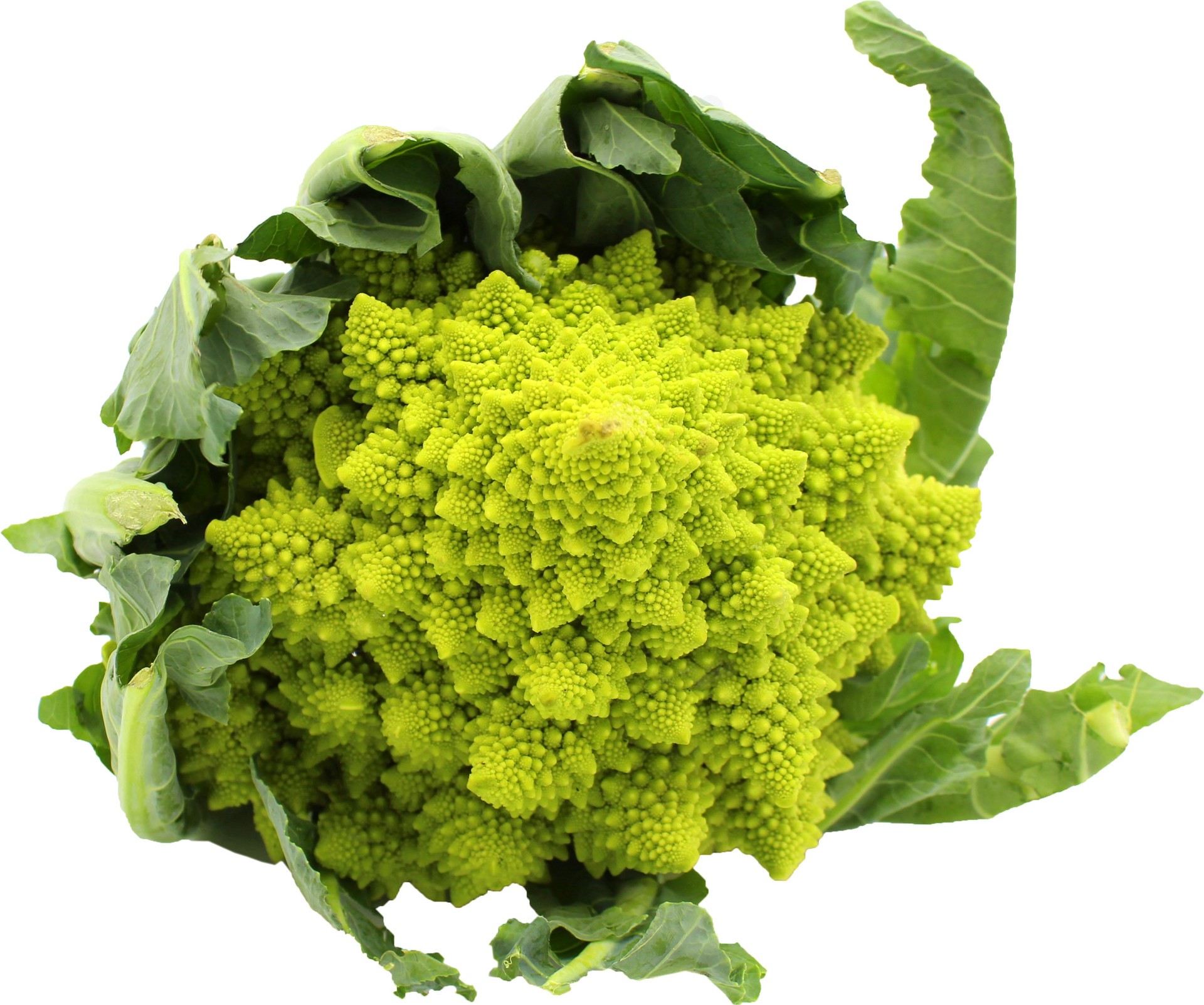 slide 1 of 1, Romanesco broccoli, 1 ct