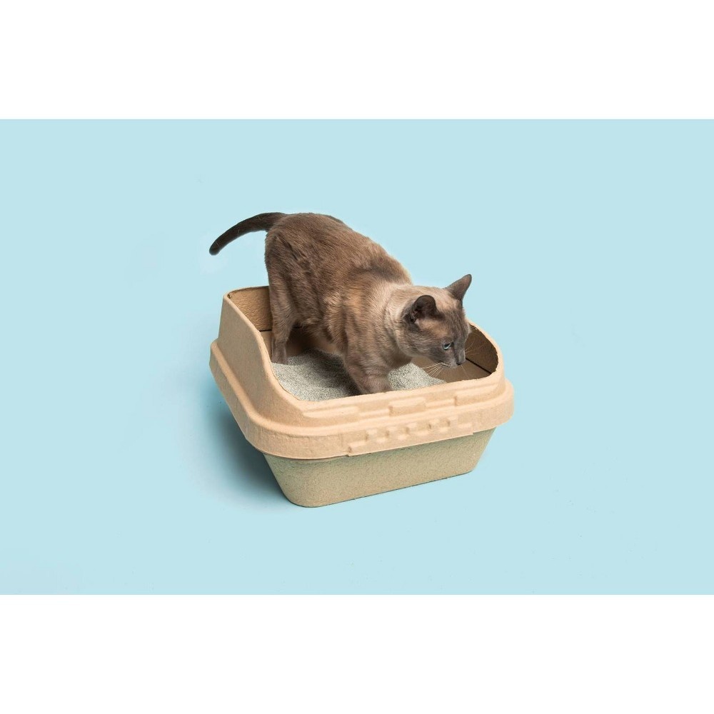 slide 3 of 6, Kitty Sift Disposable Sifting Cat Litter Box - L, 1 ct