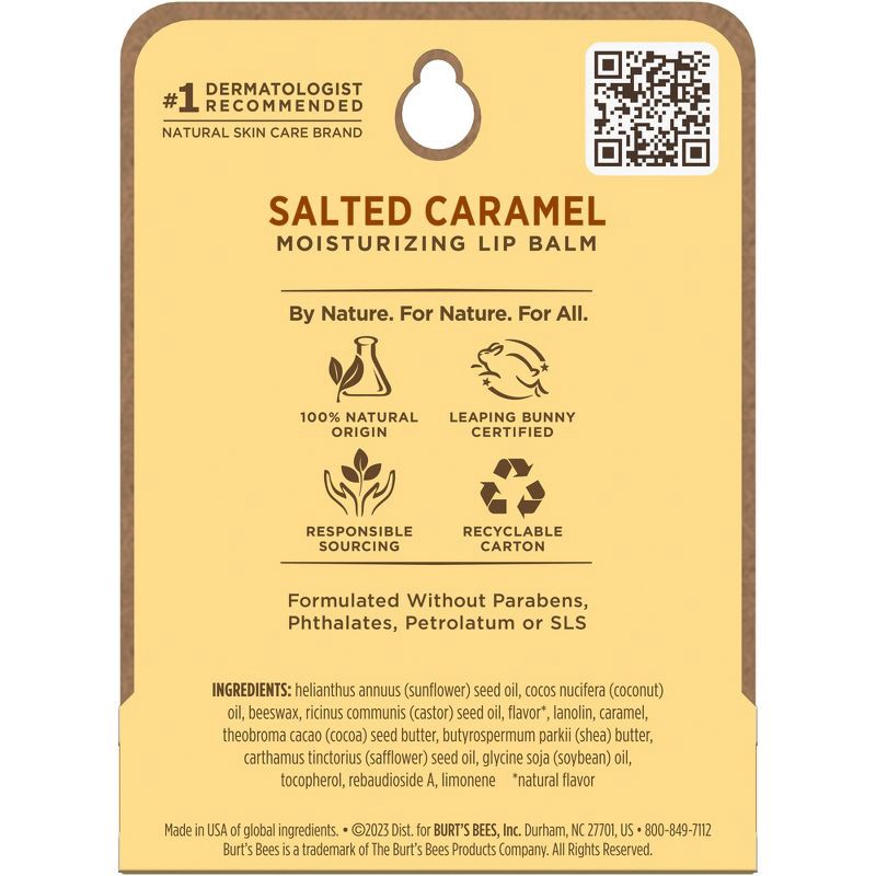 slide 9 of 9, Burt's Bees Holiday Limited Edition Stocking Stuffer Moisturizing Lip Balm - Salted Caramel - 0.15oz, 0.15 oz