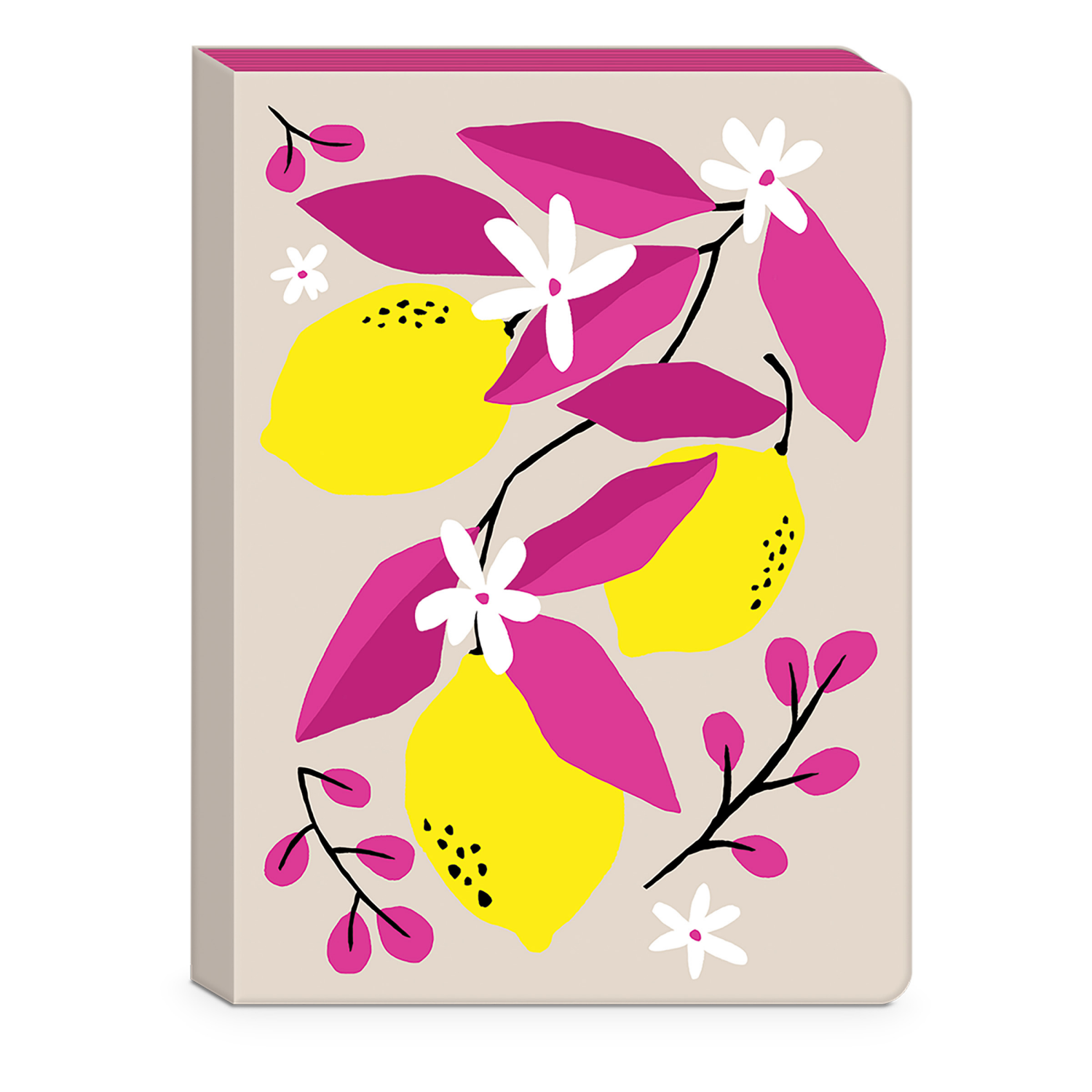 slide 1 of 1, Punch Studio Journal Fruit Market Lemon, 1 ct