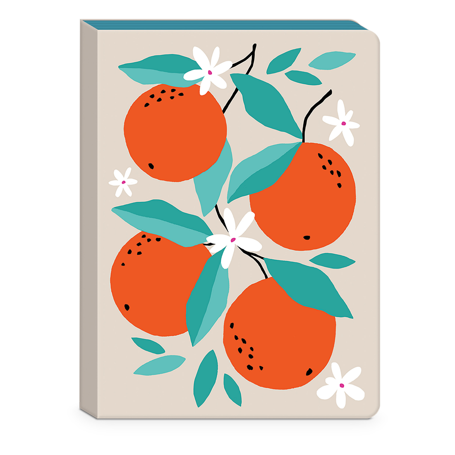 slide 1 of 1, Punch Studio Journal Fruit Market Orange, 1 ct