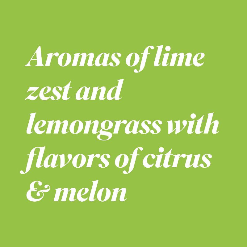 slide 5 of 9, Bota Box Sauvignon Blanc White Wine - 3L Box, 3 liter