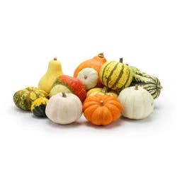 Mixed Ornamental Gourds