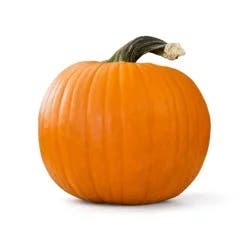Pie Pumpkin - each