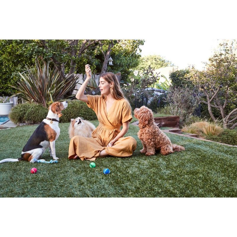 Full Moon Beef Jerky Dry Dog Treats 11oz 11 oz Shipt