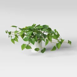 14" x 28" Artificial Pothos Plant in Pot - Threshold™