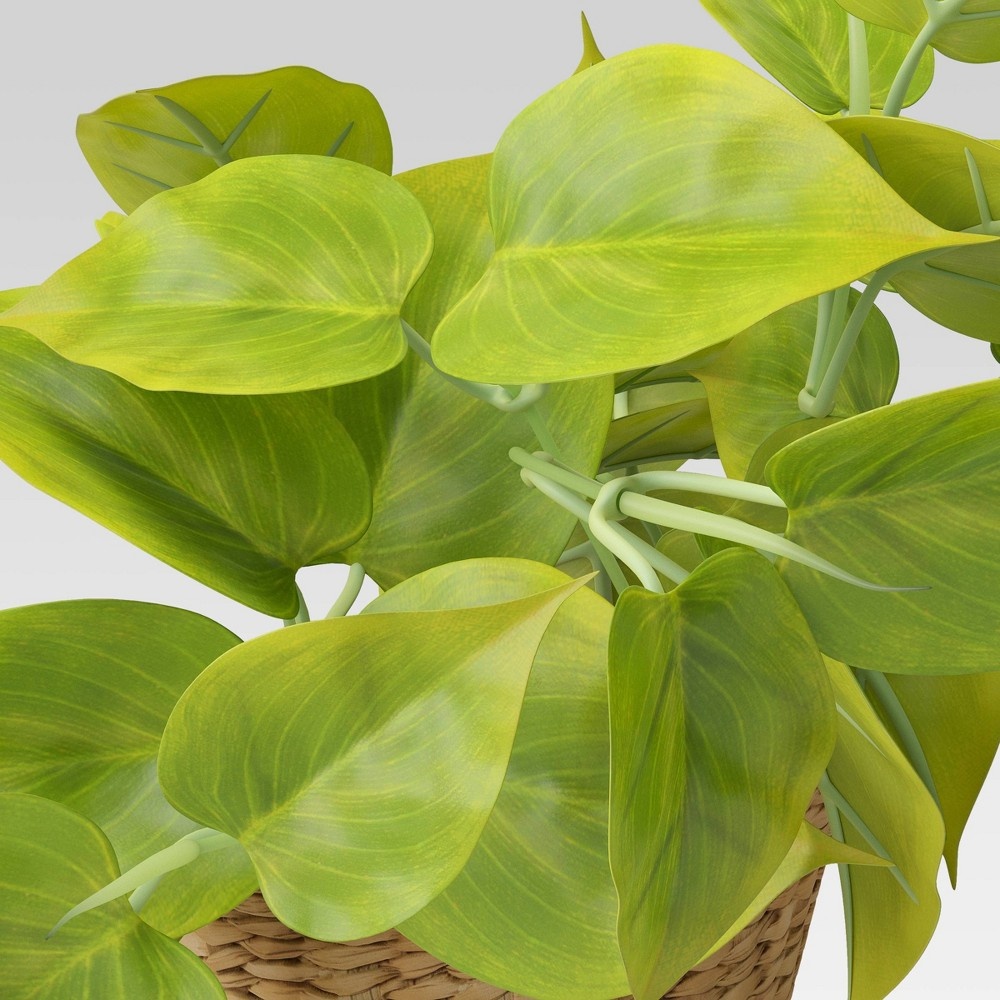 slide 3 of 4, 13" x 14" Artificial Lime Pothos Plant in Basket - Threshold, 1 ct