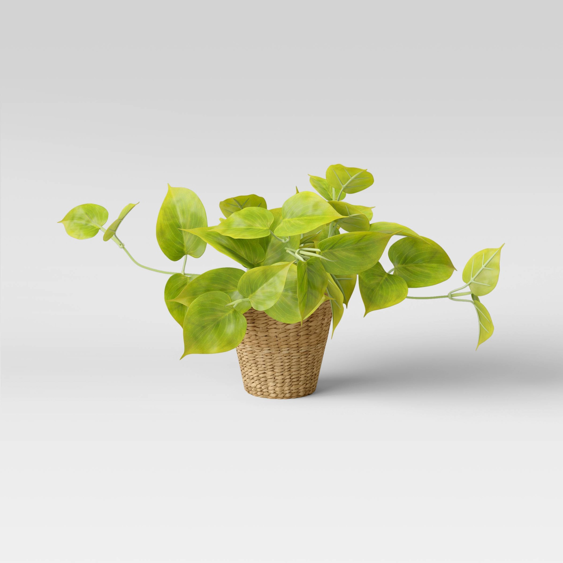 slide 1 of 4, 13" x 14" Artificial Lime Pothos Plant in Basket - Threshold, 1 ct
