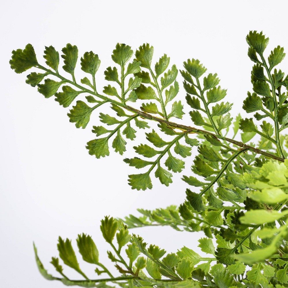 slide 3 of 4, Threshold designed w/Studio McGee 13" x 13" Artificial Fern Plant in Terracotta Pot - Threshold designed with Studio McGee, 1 ct