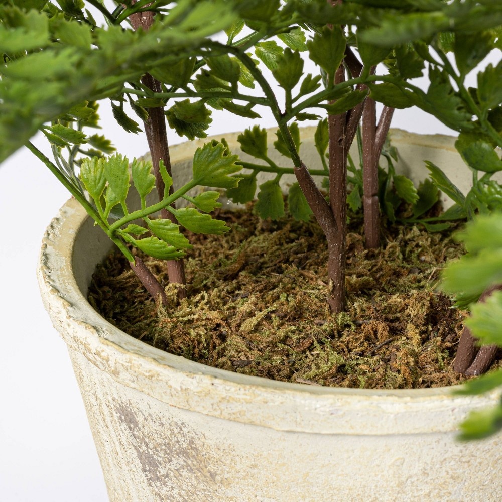 slide 4 of 4, Threshold designed w/Studio McGee 13" x 13" Artificial Fern Plant in Terracotta Pot - Threshold designed with Studio McGee, 1 ct