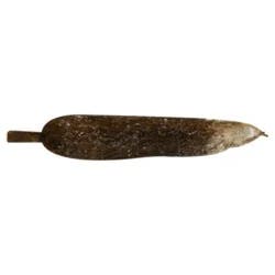 Yucca Root