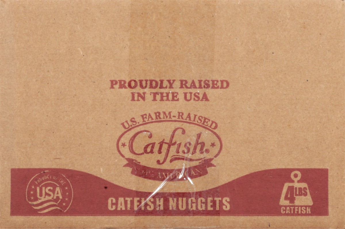 slide 12 of 14, Guidry's Nuggets Catfish 4 lb, 4 lb