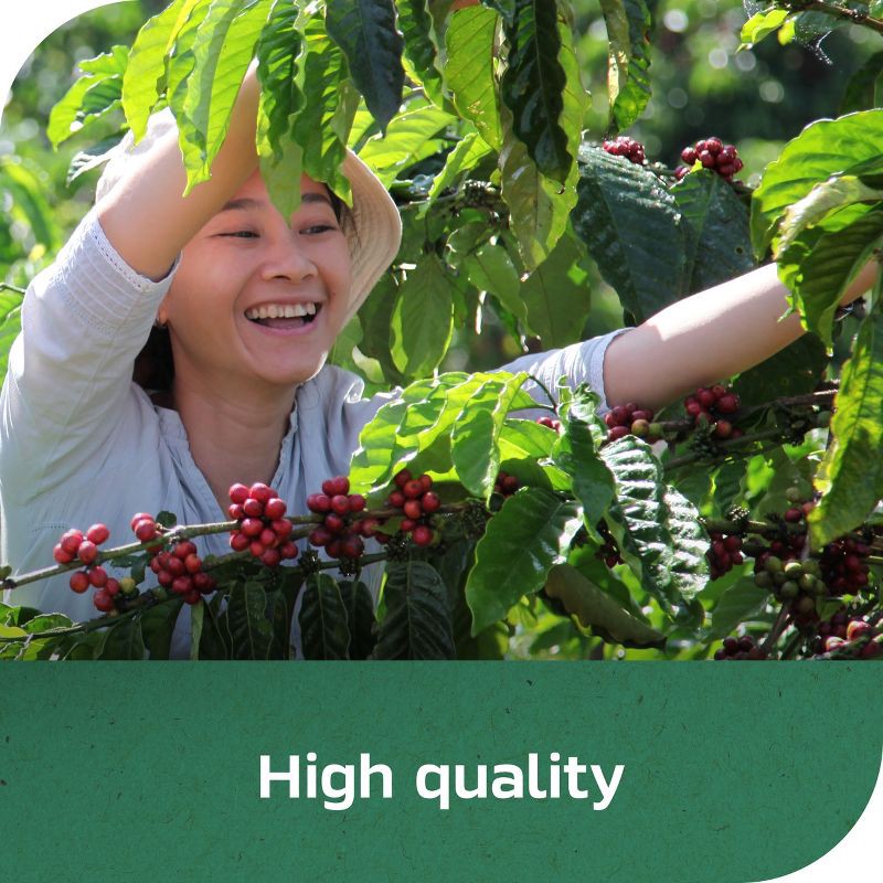 slide 8 of 9, Nescafe Clasico Decaf Dark Roast Coffee - 7oz, 7 oz