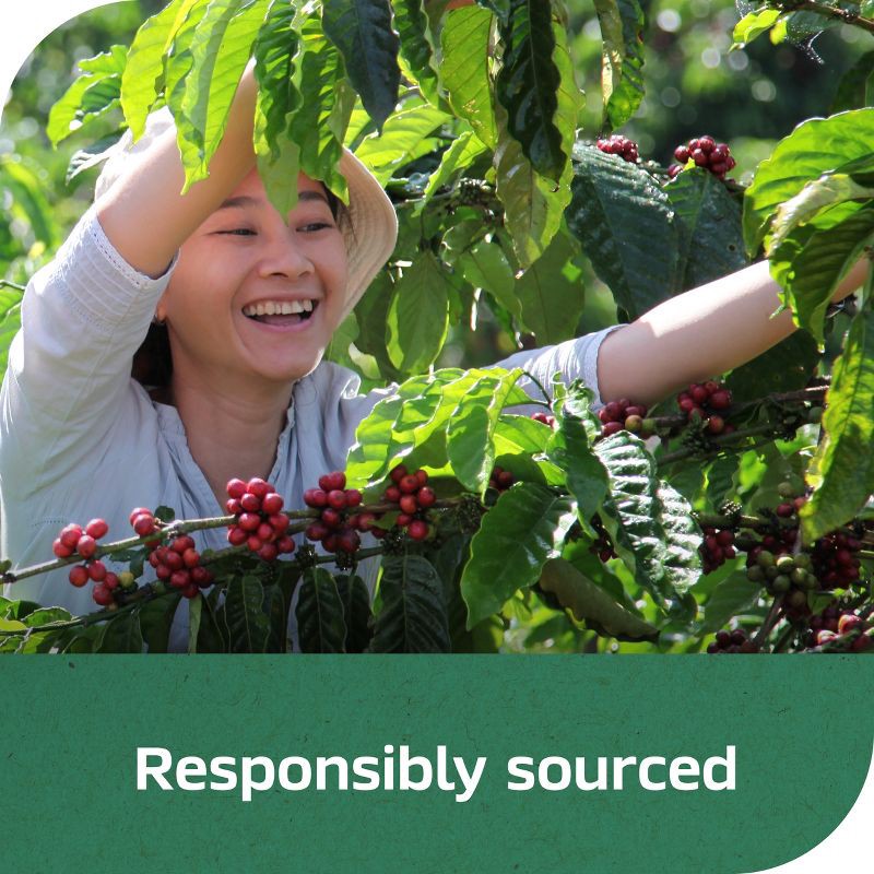 slide 8 of 9, Nescafe Clasico Decaf Dark Roast Coffee - 7oz, 7 oz