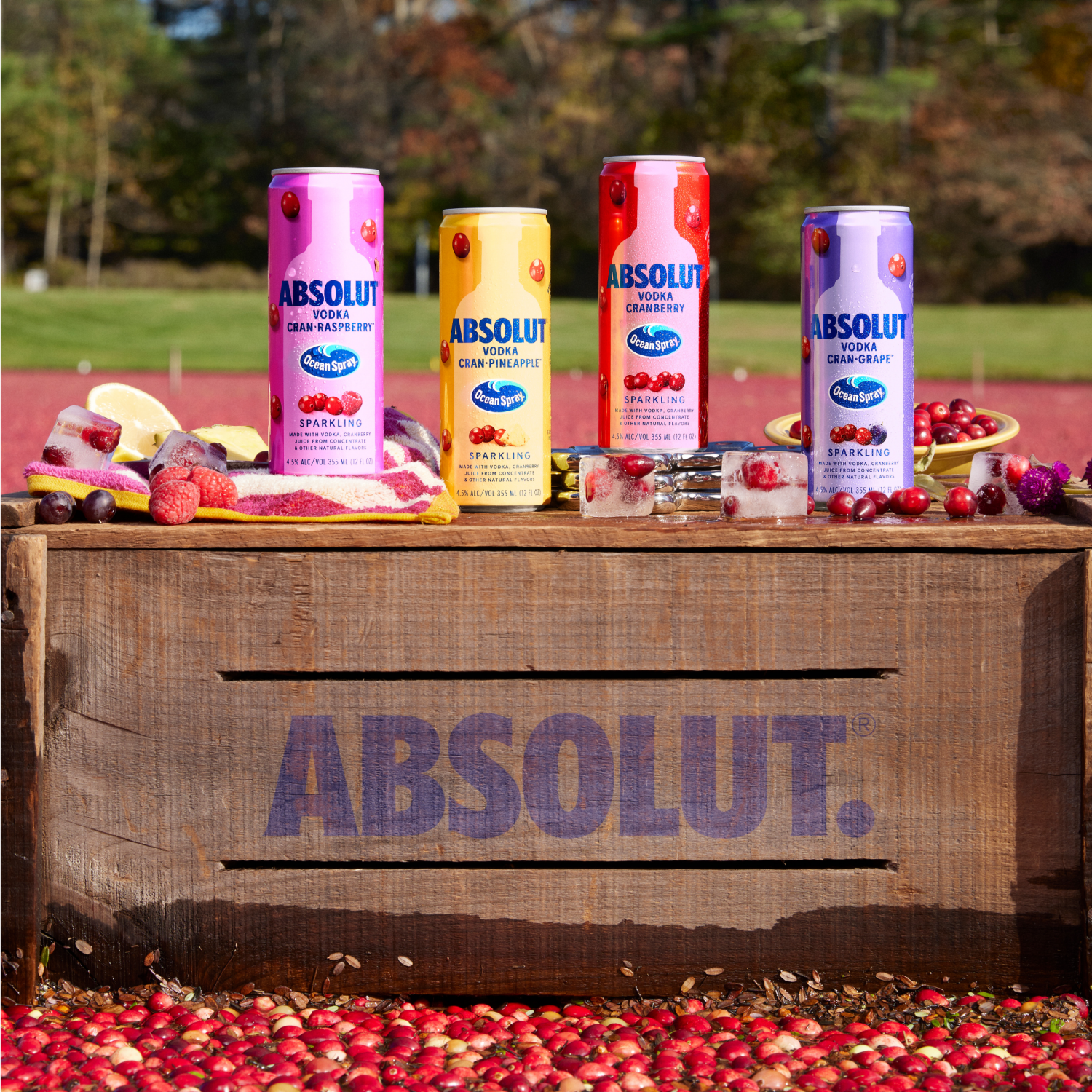 slide 2 of 5, Absolut Sparkling Cranberry Vodka 8 - 355 ml Cans, 8 ct, 355 ml