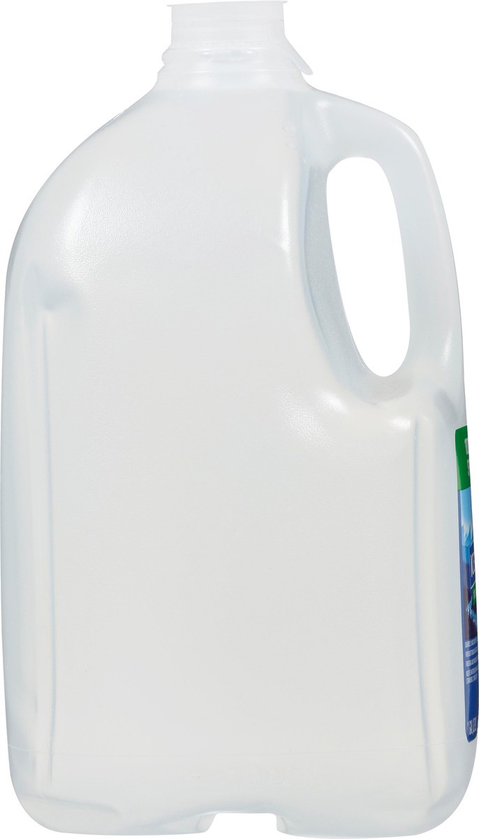 slide 5 of 9, ICE MOUNTAIN Brand 100% Natural Spring Water, 1-gallon plastic jug - 1 g, 1 g