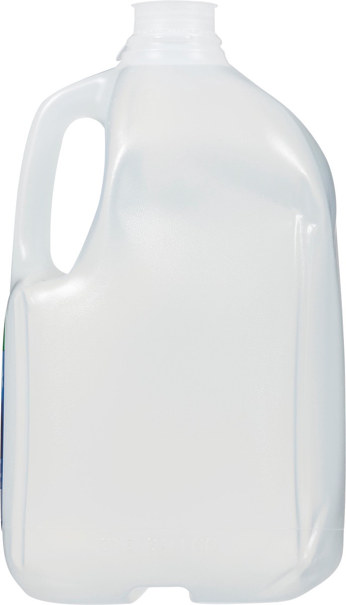 slide 6 of 9, ICE MOUNTAIN Brand 100% Natural Spring Water, 1-gallon plastic jug - 1 g, 1 g