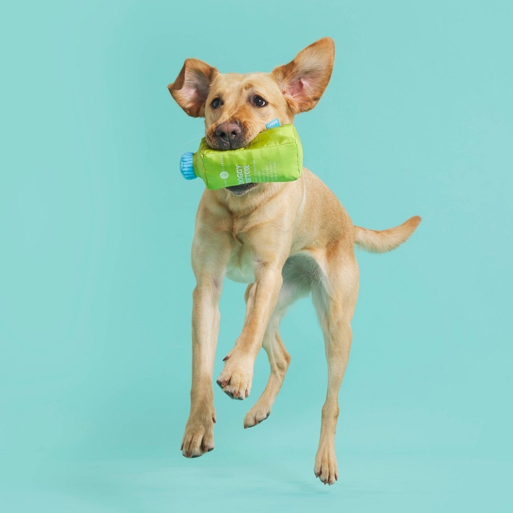 slide 2 of 6, BARK Fetch Pressed Green Juice Dog Toy, 1 ct