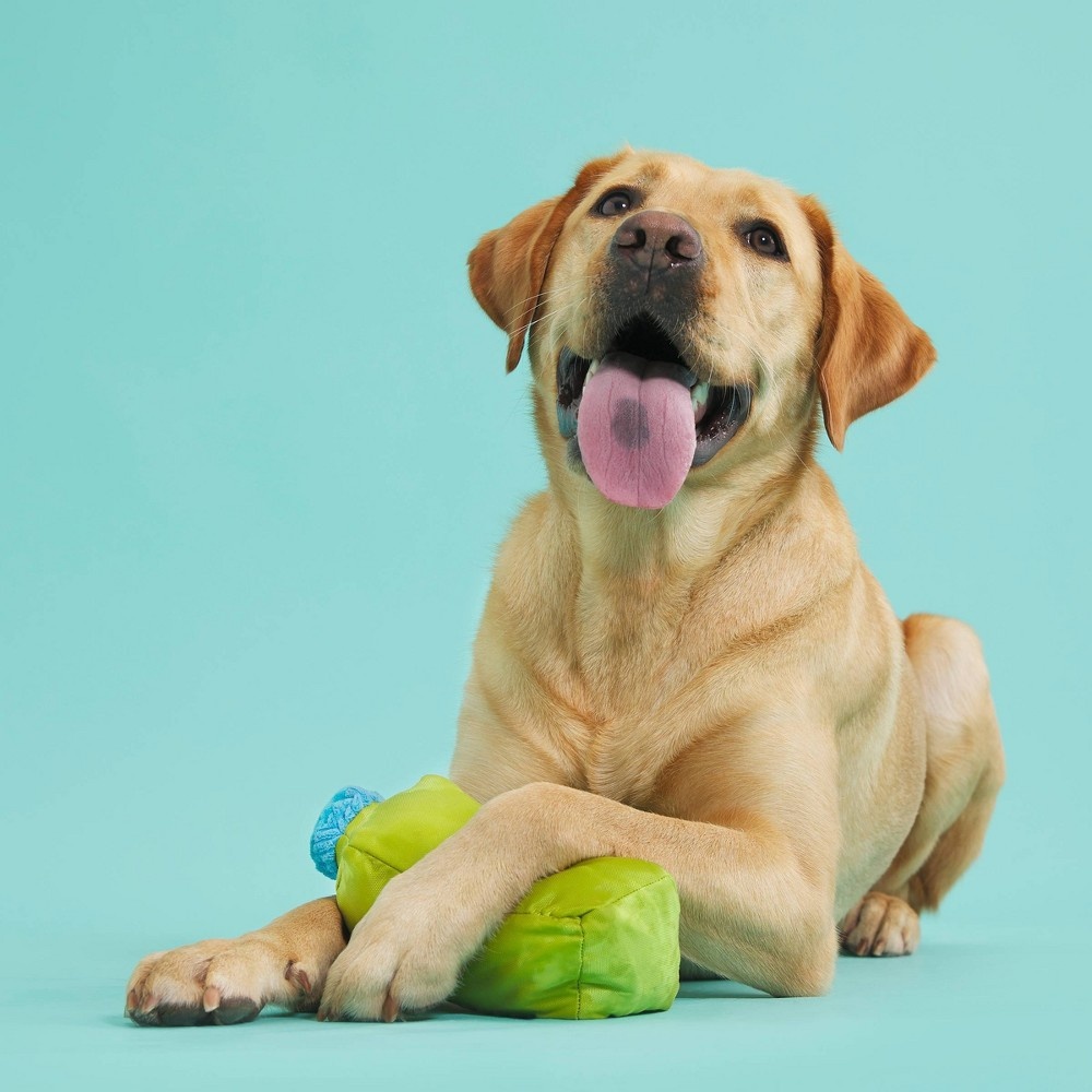 slide 3 of 6, BARK Fetch Pressed Green Juice Dog Toy, 1 ct