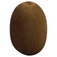 Kiwifruit Gold