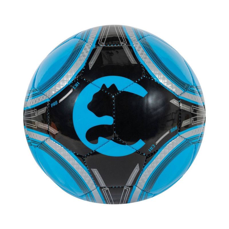 slide 1 of 4, ProCat by Puma ProCat Size 1 Mini Ball - Blue, 1 ct