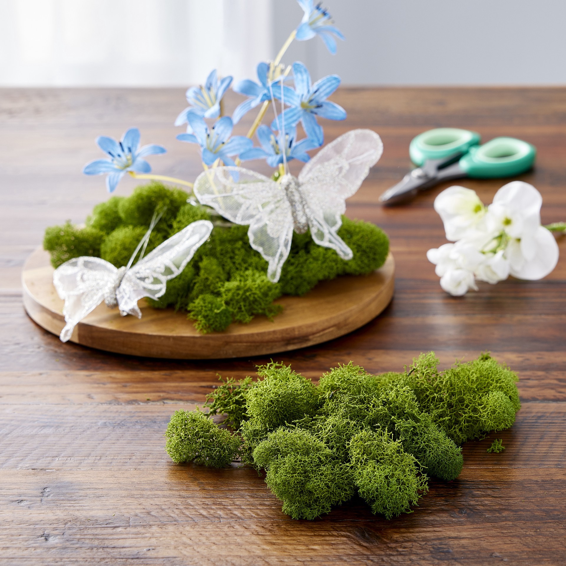 slide 3 of 4, Supermoss Basil Reindeer Moss, 1.5 in x 9.5 in