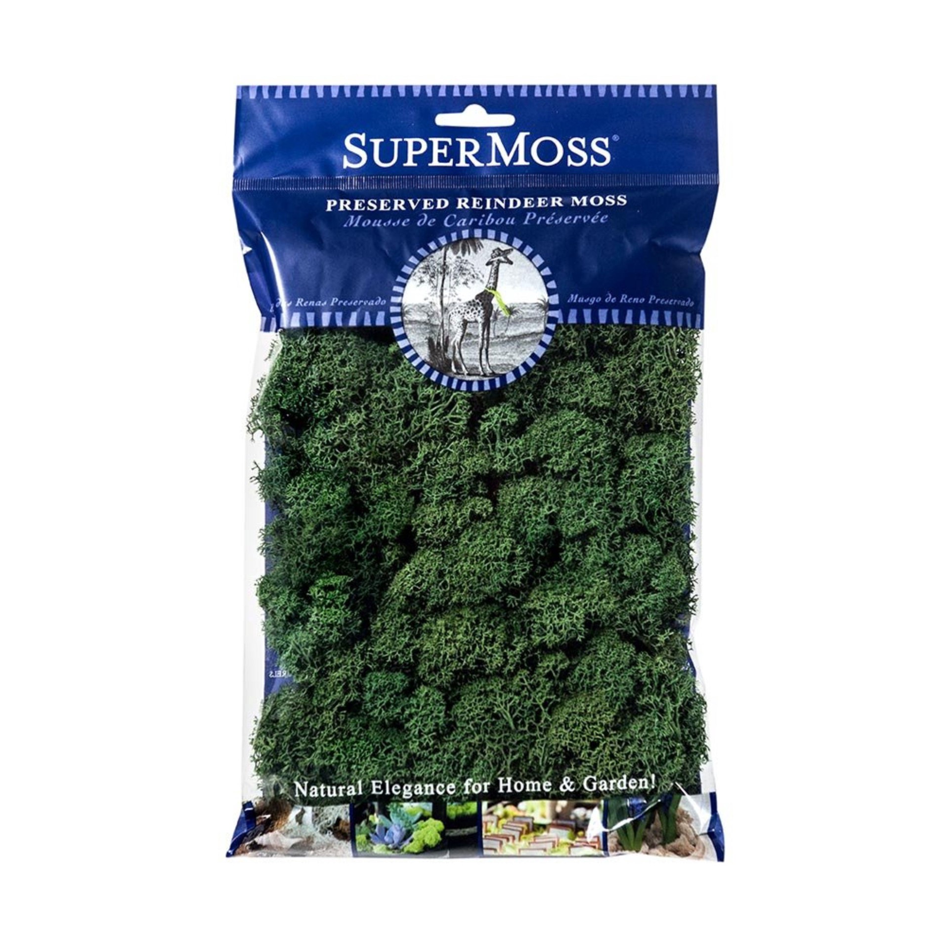 slide 2 of 4, Supermoss Basil Reindeer Moss, 1.5 in x 9.5 in