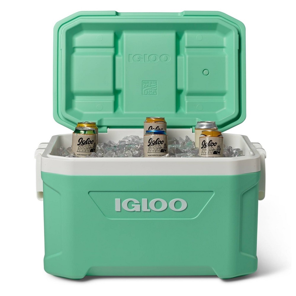 Mint best sale igloo cooler