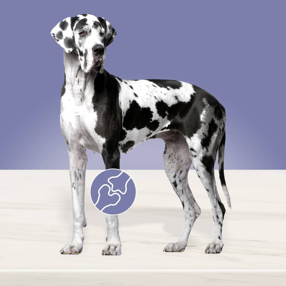 slide 2 of 5, Blue Buffalo True Solutions Jolly Joints Mobility Support Adult Chicken Flavor Dry Dog Food - 20lbs, 20 lb