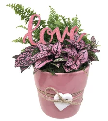Darling Ceramic Garden